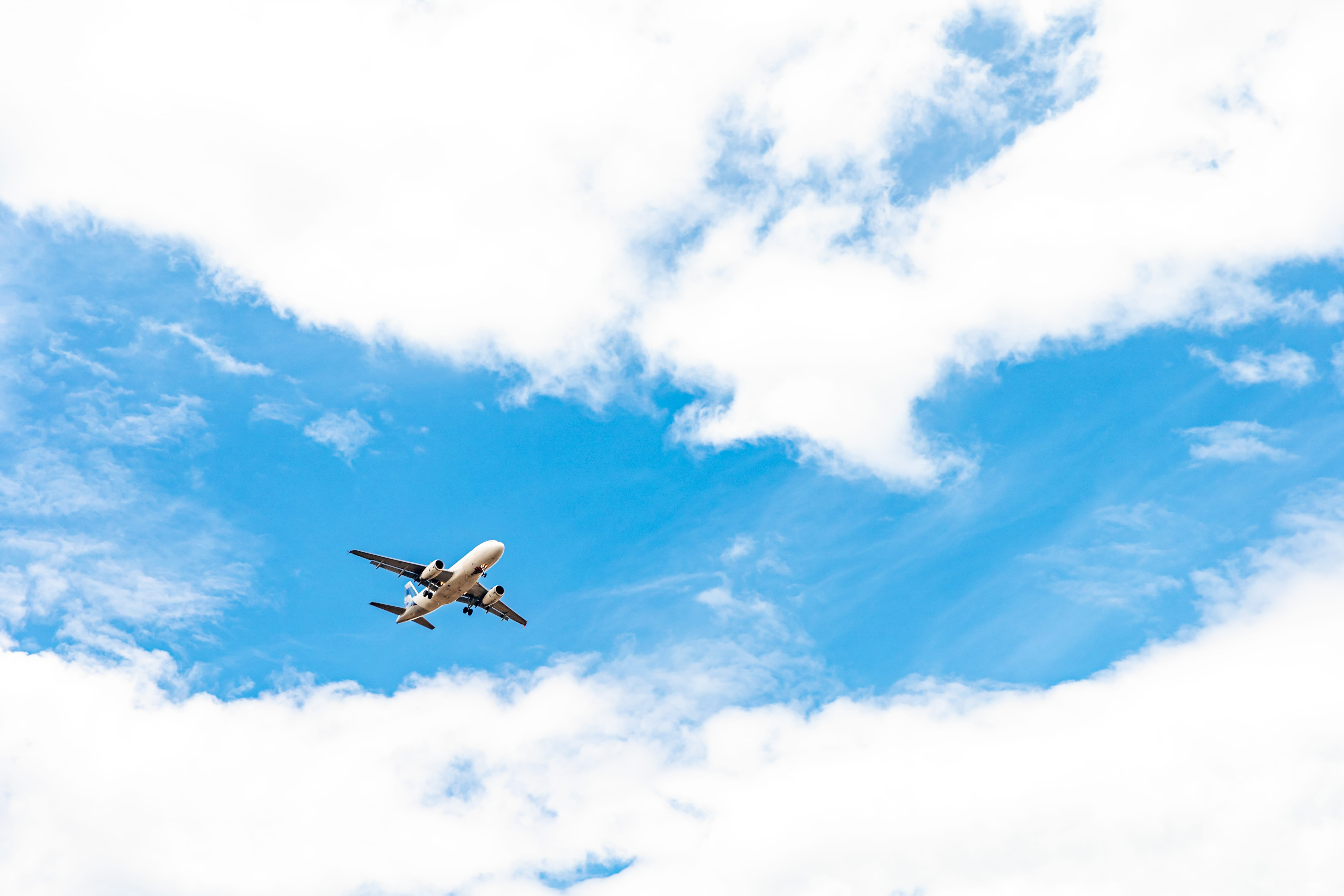 Overlooked Revenue Opportunities for Modern Travel Agencies Image