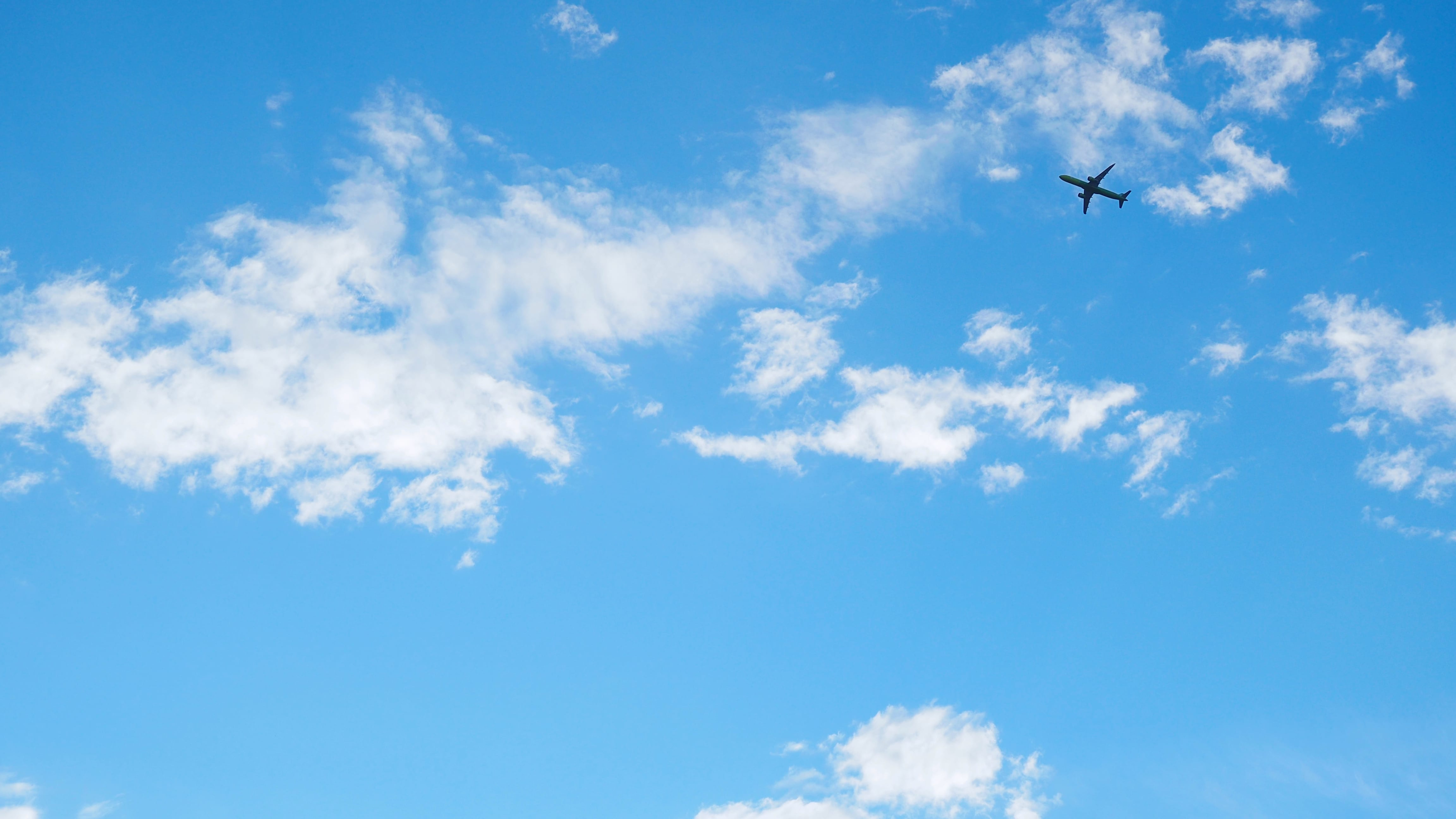 What Is a Host Agency? Earn More on Travel Sales Image